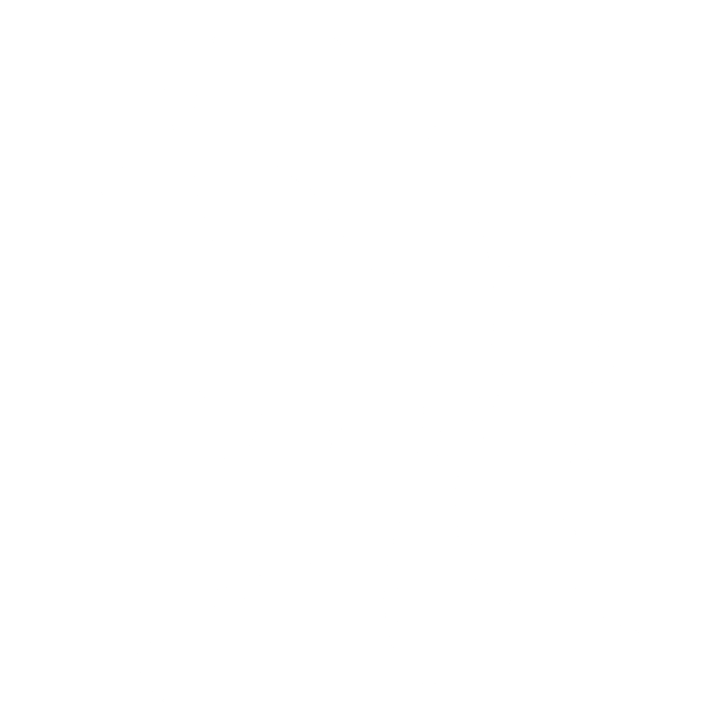 Icon Hair care