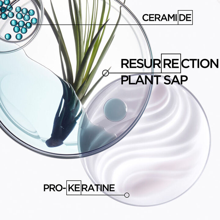 Résistance Strengthening Shampoo for Brittle Hair